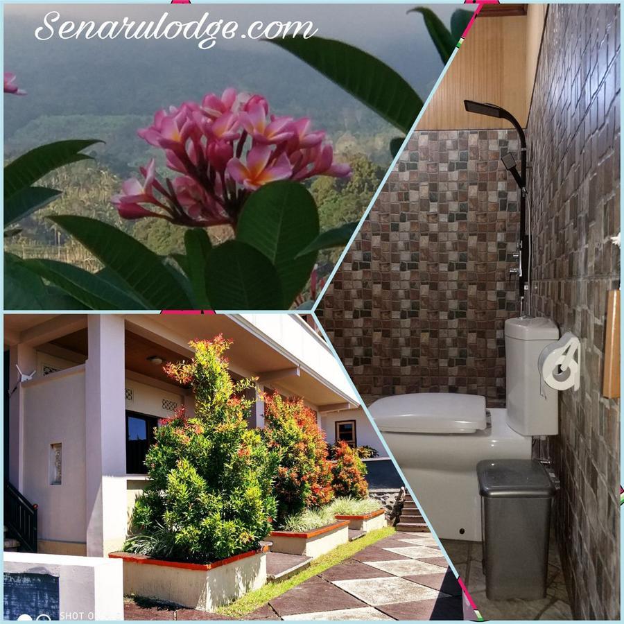 Dragonfly Guest house 2*