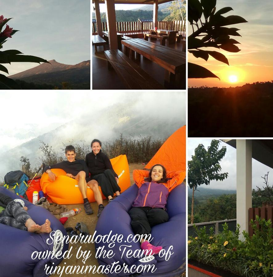 Dragonfly Guest house 2*